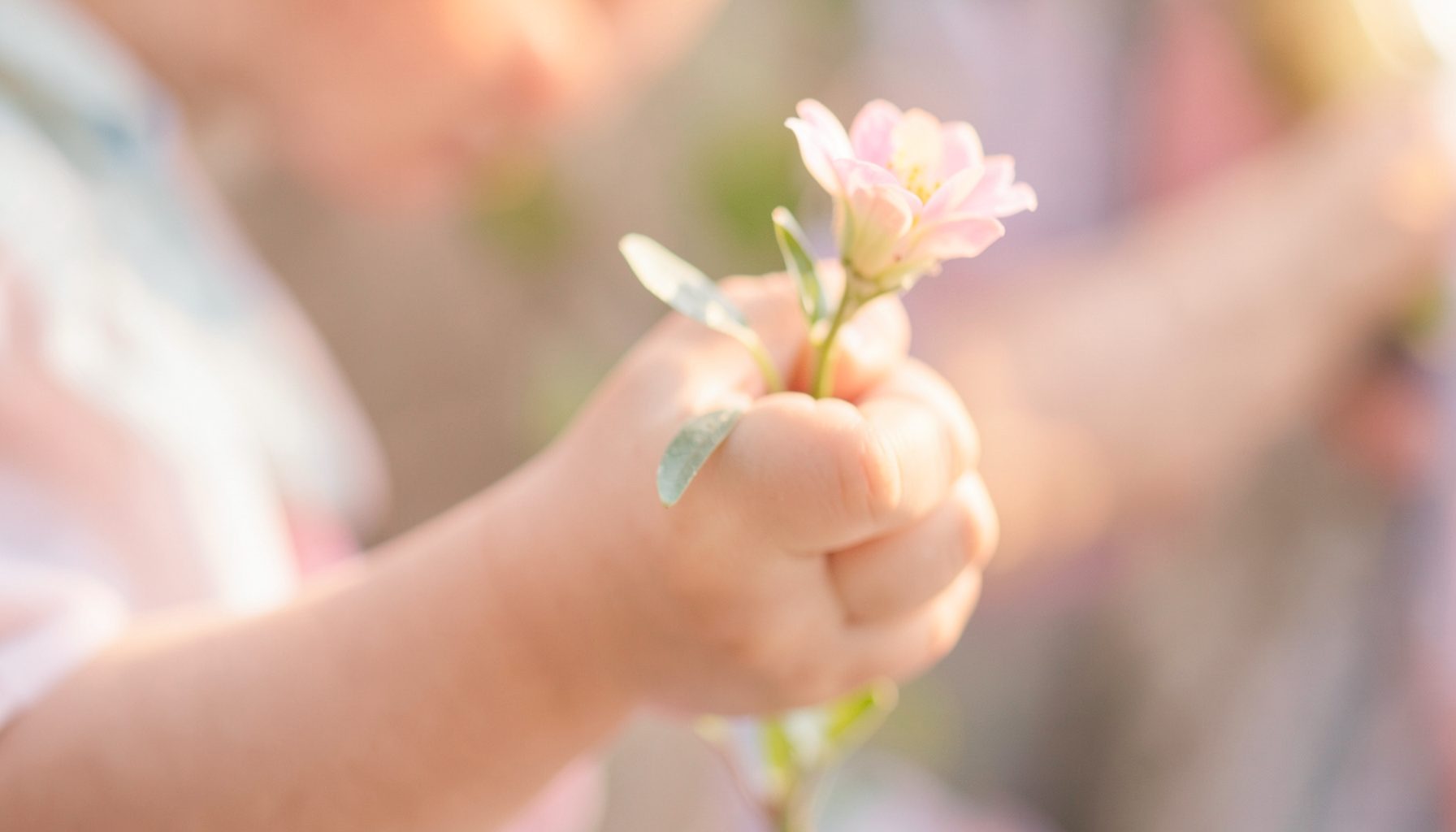 Soft-focus close-up of a child's hand holding a flower, warm natural light, gentle pastel tones